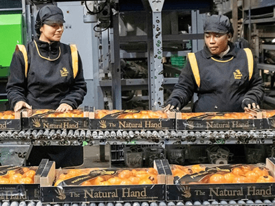 Iberian Premium Fruits incorpora a la especialista en caqui The Natural Hand