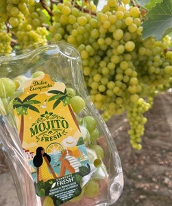 Uvasdoce inicia la campaña nacional