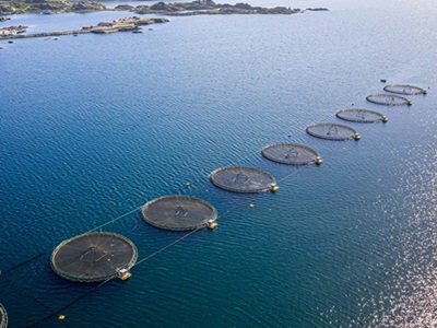 España se mantiene como primer productor de acuicultura de la Unión Europea