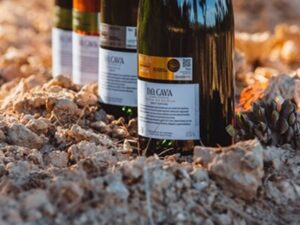 El Cava Meeting suma más de 200 Cavas de Guarda Superior de hasta 65 bodegas