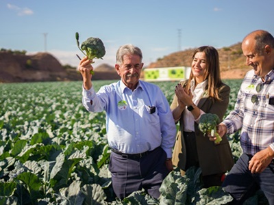 +Brócoli lanza su nueva campaña de promoción del consumo de brócoli